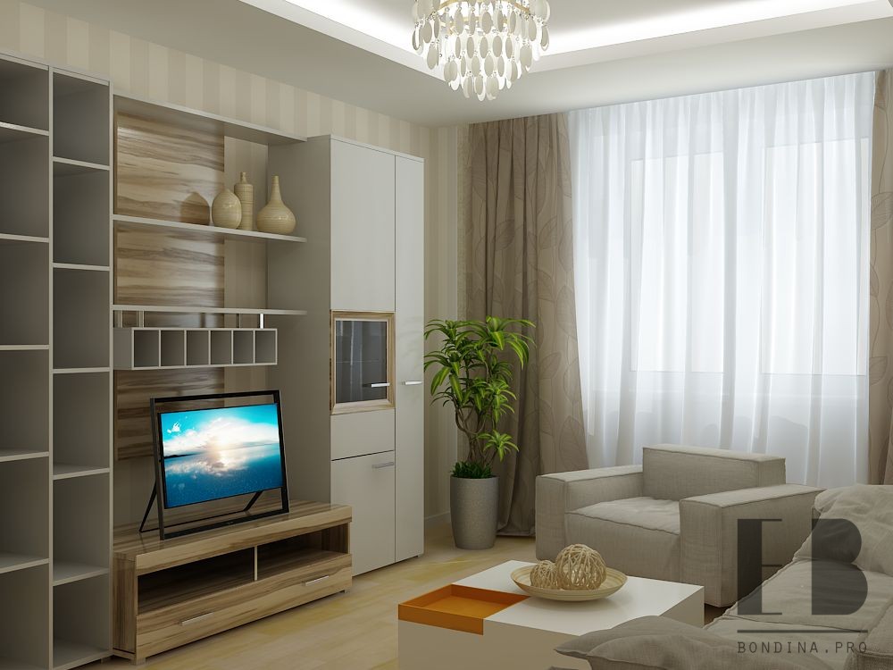 Modern And Cozy Small Apartment Design Elena Bondina
